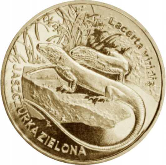 2 ZŁ  Jaszczurka zielona 2009